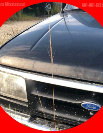 Junk Cars Mississippi