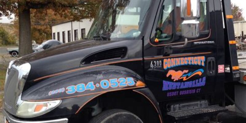 Connecticut Mustang LLC