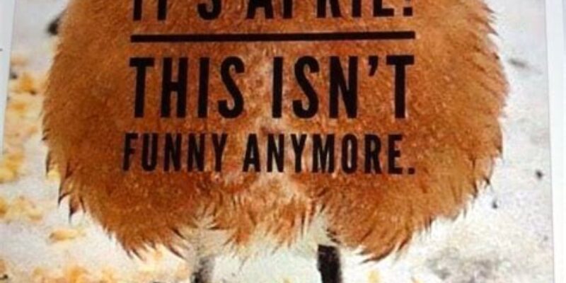 Grady’s Auto & Truck Parts