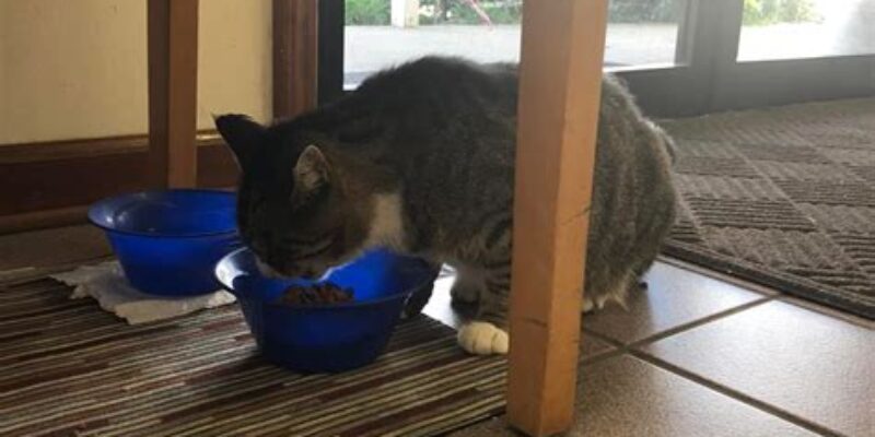 King Brothers Used Cars