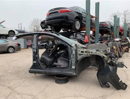 Monster’s Recycling