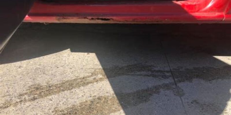 Nelson’s Auto Parts