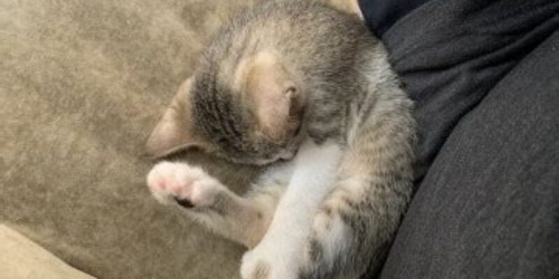 Northwood Auto Salvage