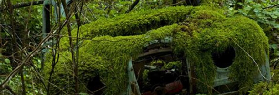 We Buy Junk Cars 426